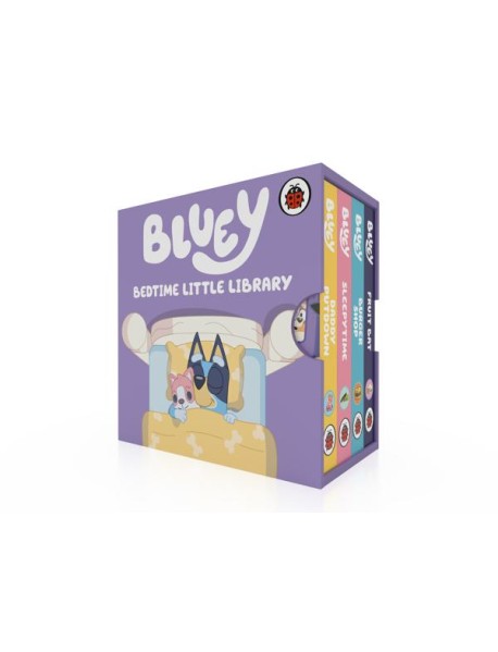 Bluey Bedtime Little Library