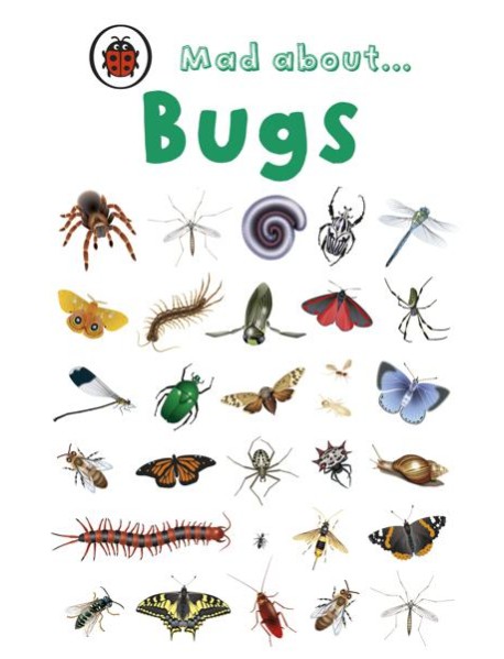 Mad About Bugs