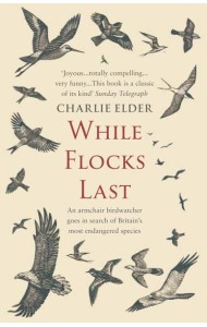 While Flocks Last
