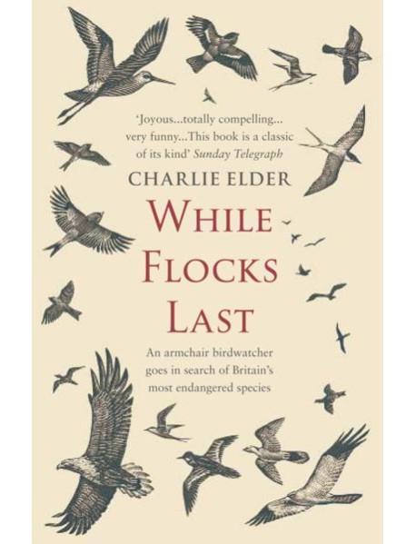 While Flocks Last