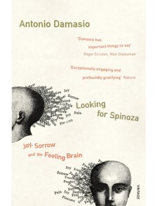Looking For Spinoza Looking For Spinoza