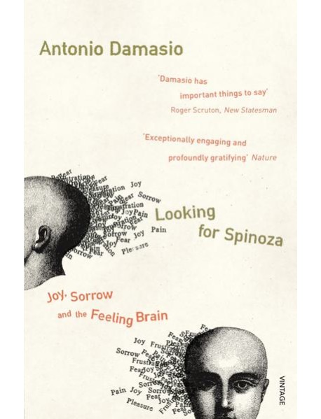 Looking For Spinoza