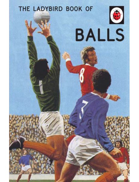 The Ladybird Book of Balls