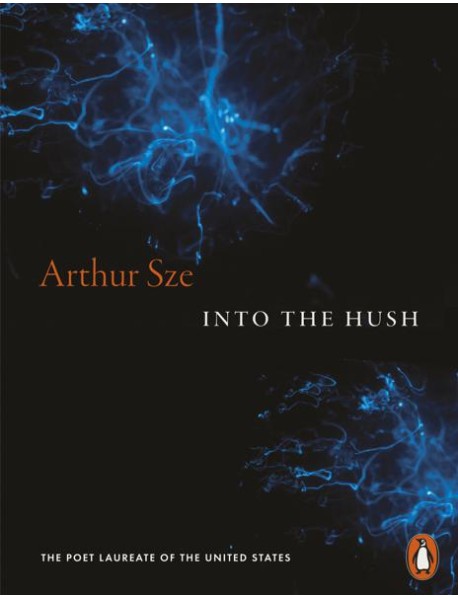 Into the Hush