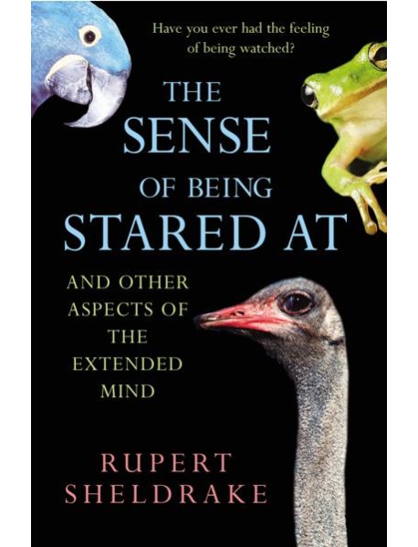 The Sense Of Being Stared At