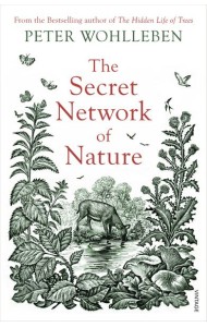 The Secret Network of Nature