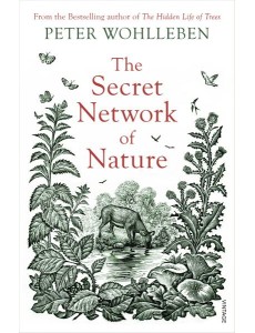 The Secret Network of Nature