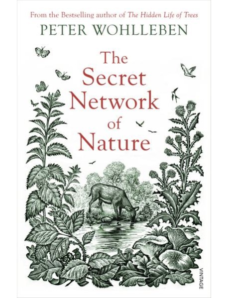 The Secret Network of Nature