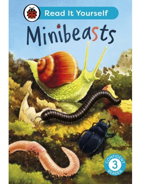 Minibeasts Read It Yourself Level 3 C