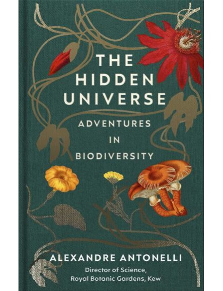 The Hidden Universe