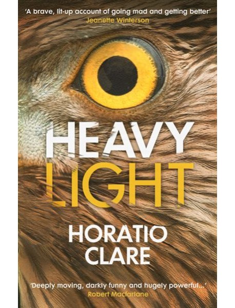 Heavy Light