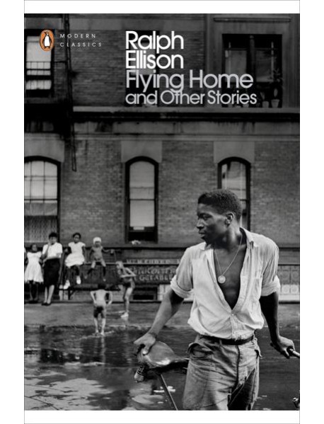 Flying Home And Other Stories