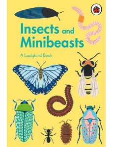A Ladybird Book Insects and Minibeasts A Ladybird Book Insects and Minibeasts