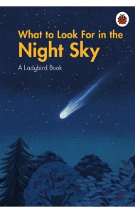 What to Look For in the Night Sky