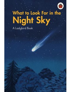 What to Look For in the Night Sky