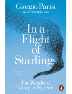 In a Flight of Starlings