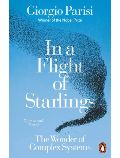 In a Flight of Starlings