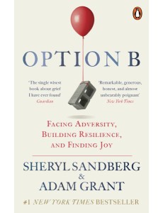 Option B