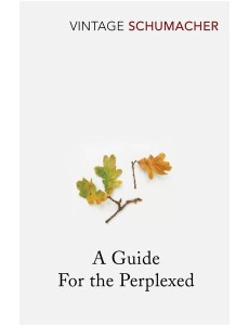 A Guide For the Perplexed A Guide For the Perplexed