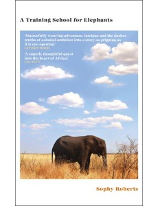 A Training School for Elephants