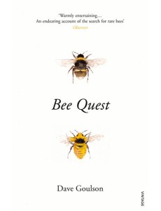 Bee Quest
