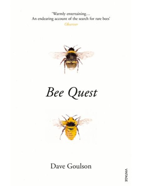 Bee Quest