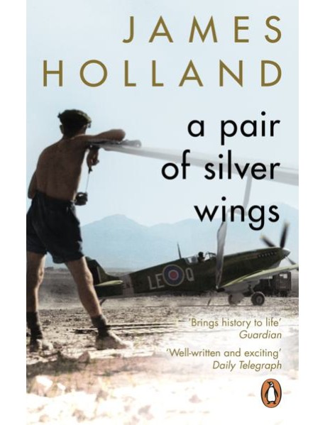 A Pair of Silver Wings