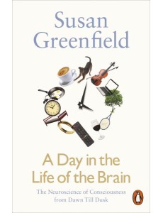 A Day in the Life of the Brain