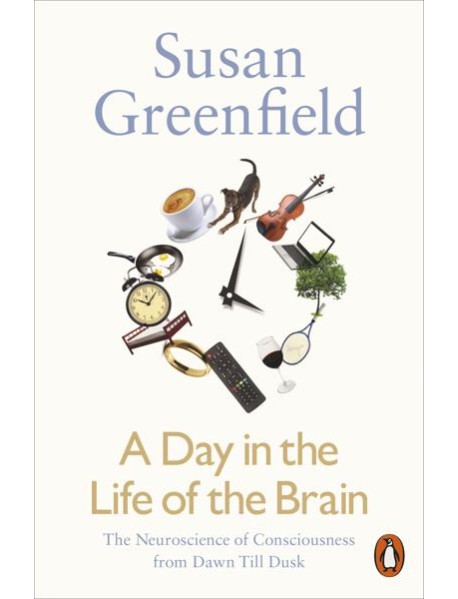 A Day in the Life of the Brain