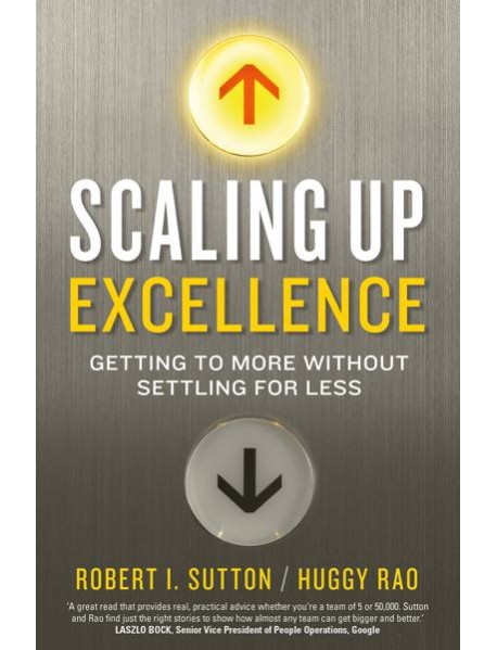 Scaling up Excellence