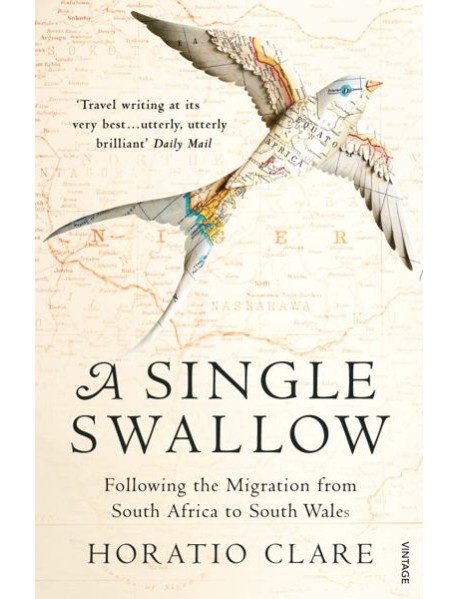 A Single Swallow