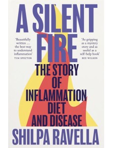 A Silent Fire A Silent Fire