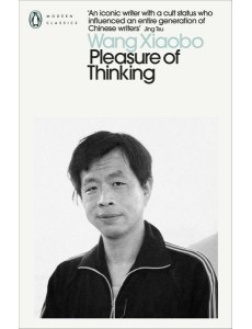 Pleasure of Thinking