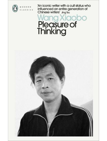 Pleasure of Thinking