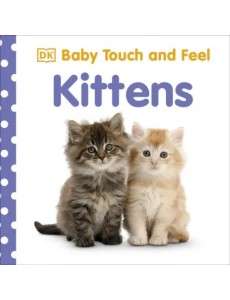 Baby Touch and Feel Kittens