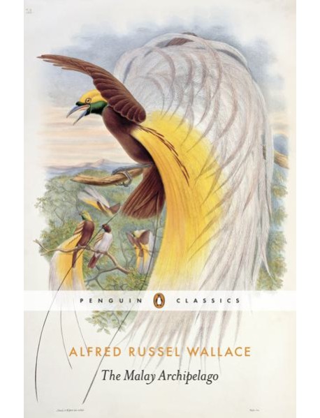 The Malay Archipelago