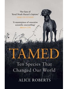 Tamed