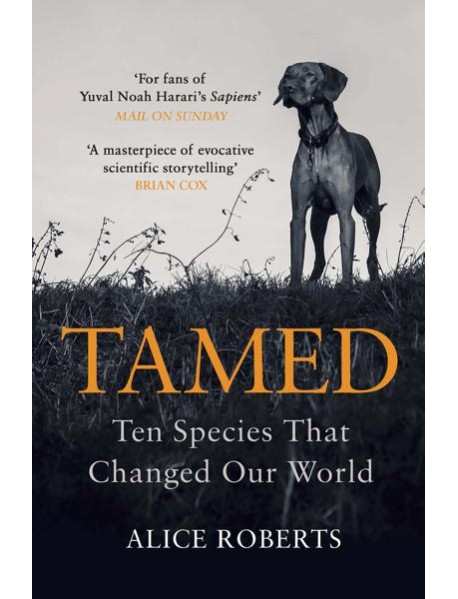 Tamed