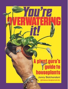 Youre Overwatering It Youre Overwatering It