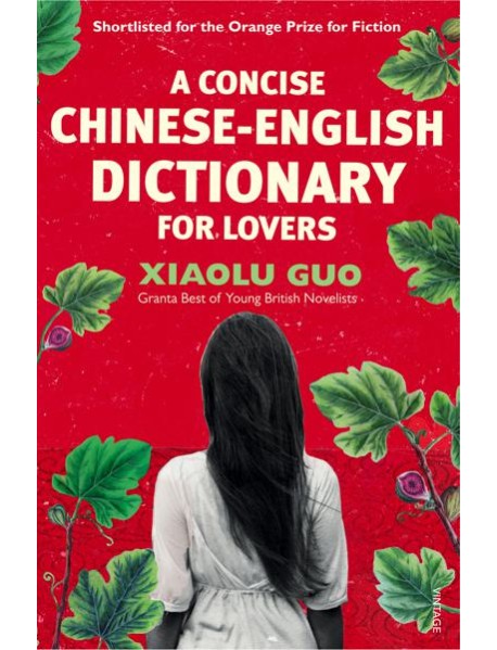 A Concise ChineseEnglish Dictionary for