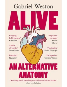 Alive