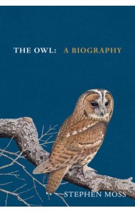 The Owl