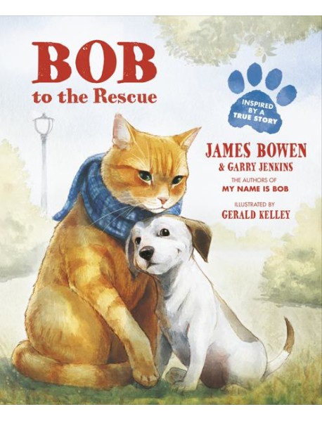Bob to the Rescue