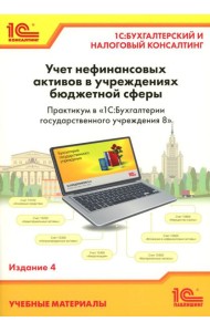 Учет нефинансовых активов в учреждениях бюджетной сферы. Практикум в 