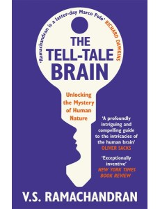The TellTale Brain