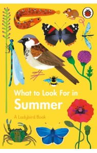 What to Look For in Summer