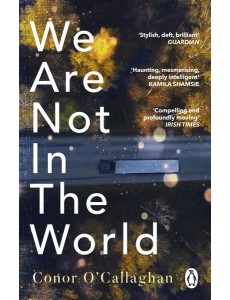 We Are Not in the World