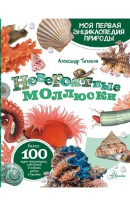 Невероятные моллюски
