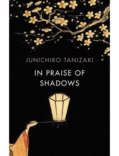 In Praise of Shadows
