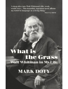 What is the Grass